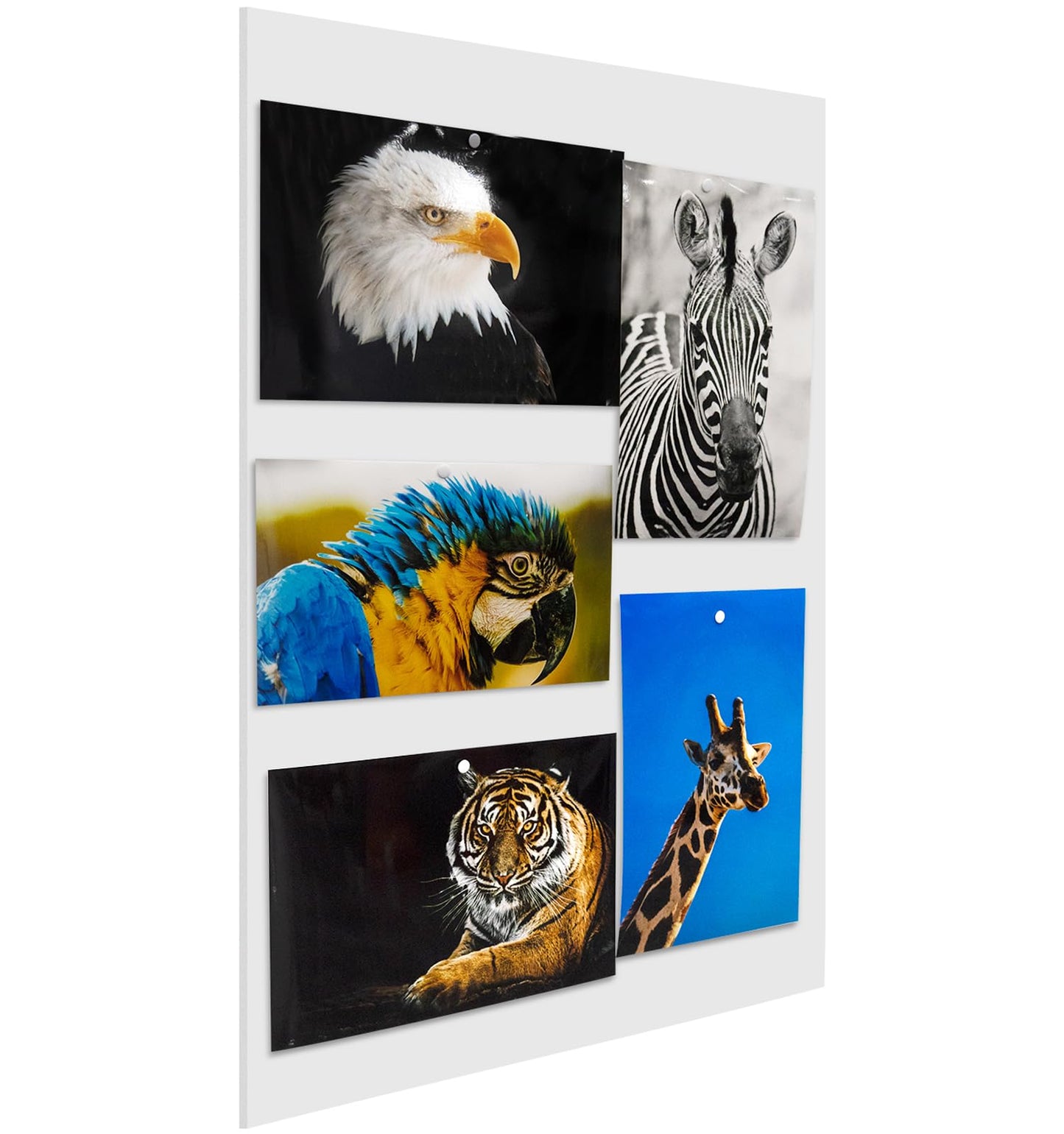 Foam Board 20 x 30 x 3/16" (5mm) - 12 Pack - White Poster Board, Acid Free, Double Sided, Rigid, Sign Board Foamboard for Mounting, Crafts, Paintings Prints, Art, Display, Presentation and Projects