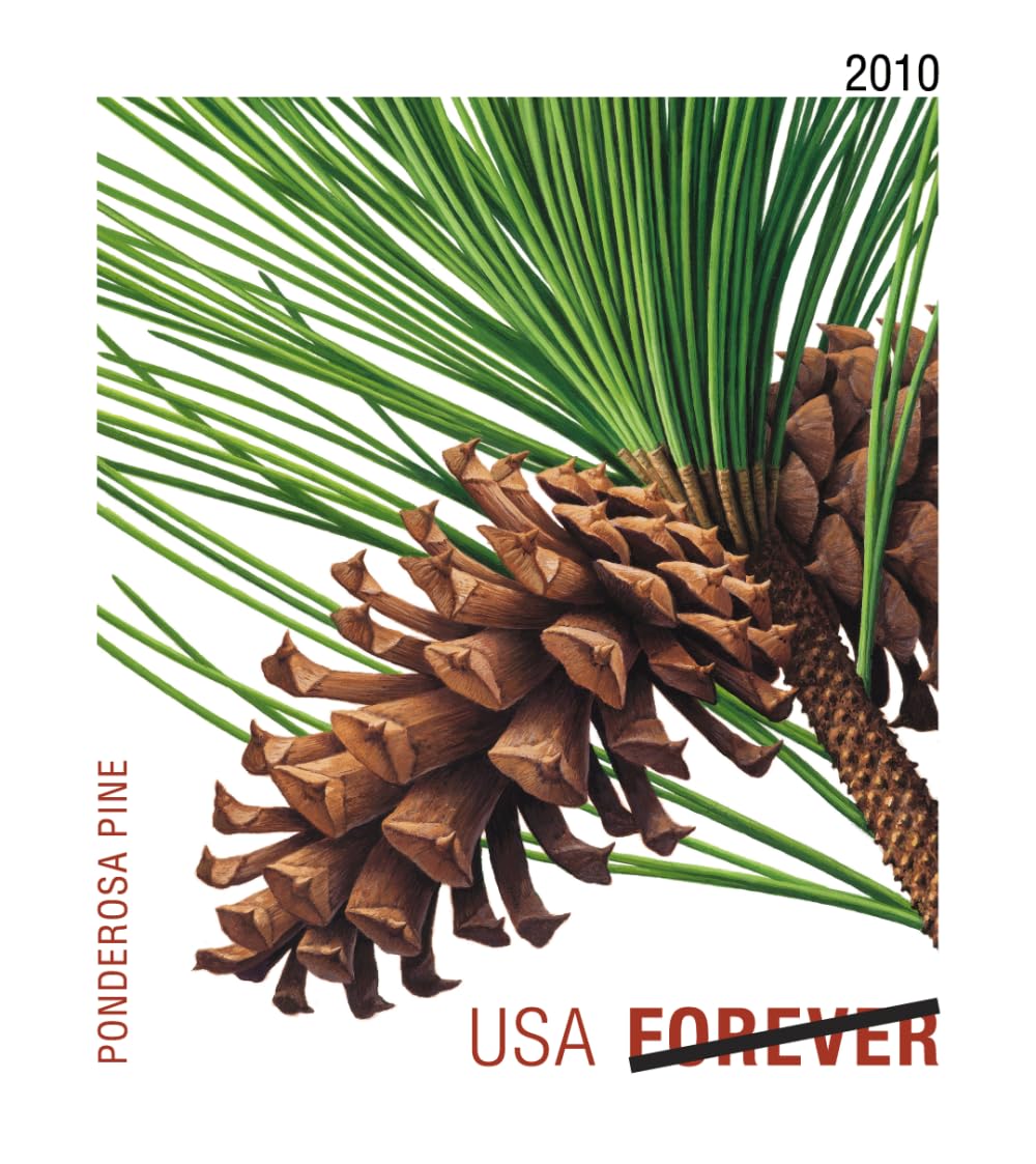 Holiday Evergreen FOREVER Stamps, Pane of 20