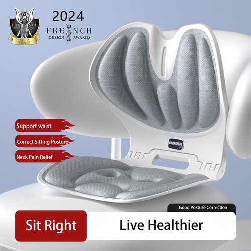 CHANGFENG Lumbar Ergonomic Support for Office Chair Back Lumbar Support for Computer, Gaming Chair Back Cushion for Back Pain Relief Improve Posture,and Work from Home, Patented (Gray)