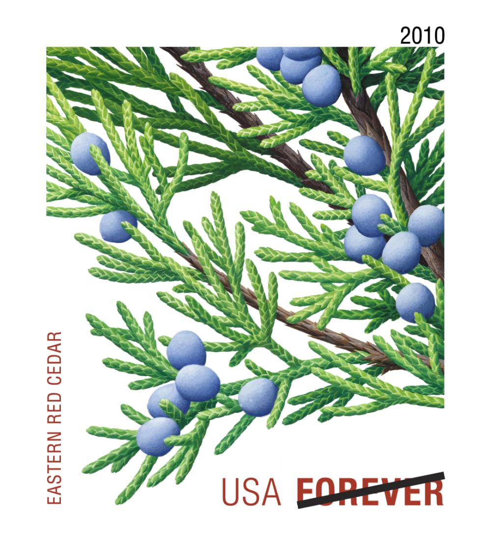 Holiday Evergreen FOREVER Stamps, Pane of 20