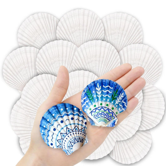 36PCS Natural Scallop Shells for Crafts, 2-3 Inch White Sea Shells for Decorating, Genuine Beach Seashells for DIY Craft Making, Painting, Cooking, Ocean Themed Party Supplies & Decorations