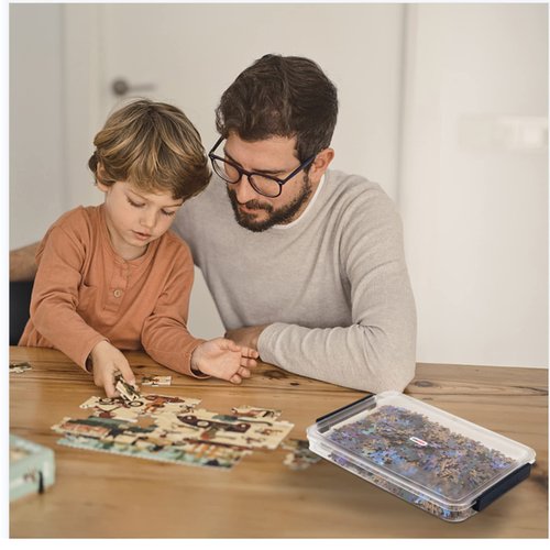 LIPCHEEGO A4 Scrapbook Paper Storage, Photo Storage Box, Plastic File Box (2Pack, Blue)