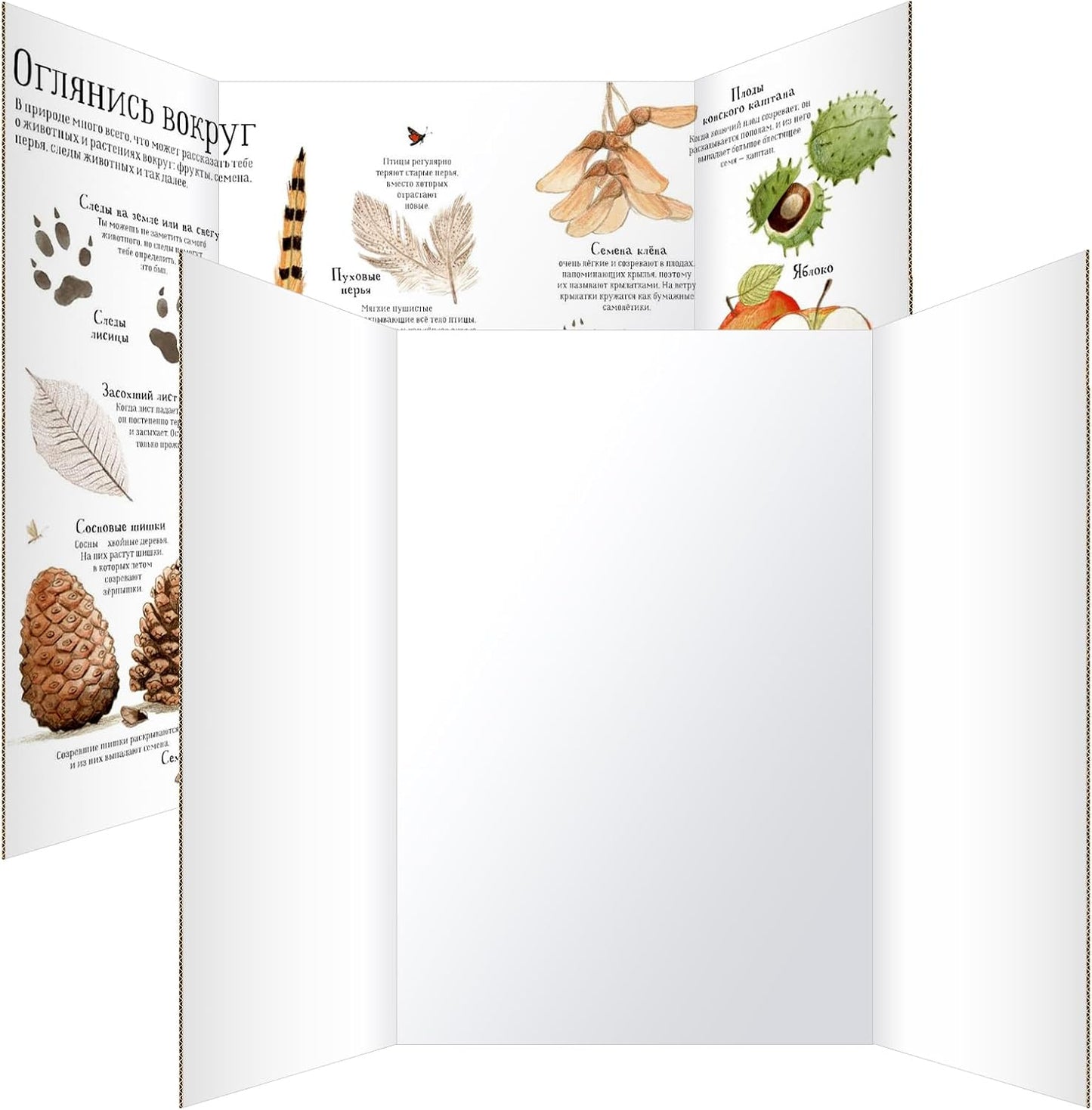 Trifold Poster Board - 36"x48" White Extra Large Corrugated Display Board | 2 Pack for School Projects & Presentations