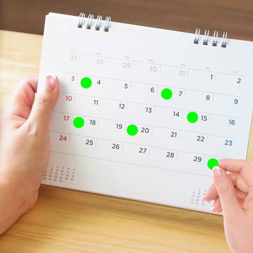 PARLAIM 10000PCS 1/2 Inch Round Color-Code Dot Stickers,Circle Color Coding Label Sticker for Home Office (Fluorescent Green)