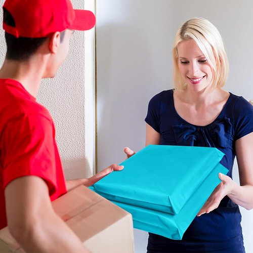 Poly Mailers | 10x13 Inch Blue Plastic Mailing Envelopes - Waterproof, Tear-Resistant, 100 Pcs