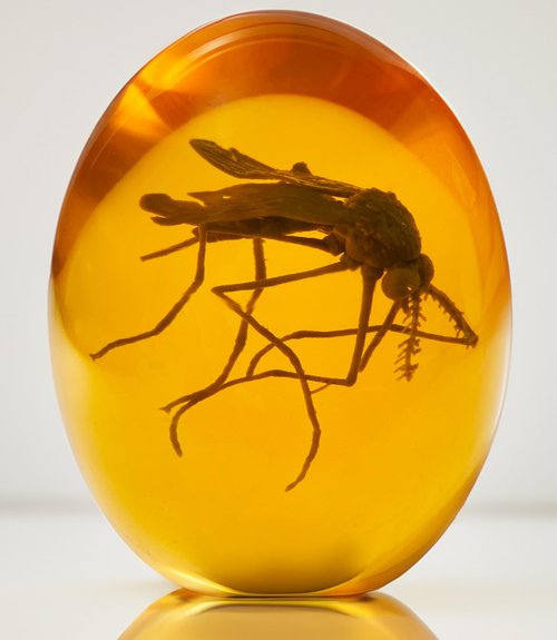 VEOJEIN Jurassic 3D Mosquito in Amber Resin | True 3D Original Design Realistic Flat Bottom Shaped | Measures 3.3 Inches Tall Dinosaur DNA Replica World | Collectable Prop | Cane Mount | Paper Weight