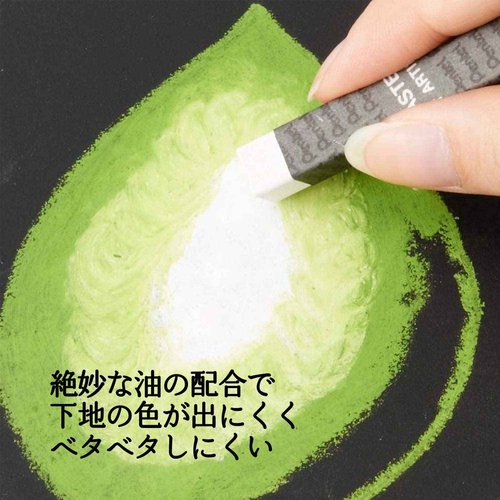 49 Pentel color expert for path (white 2 bottles) PTA-50D (japan import)