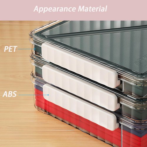 RHONZHAO 2 Pack Clear Plastic File Boxes w/Latching Lids, Stackable A4 Storage (‎White Latches, Large)