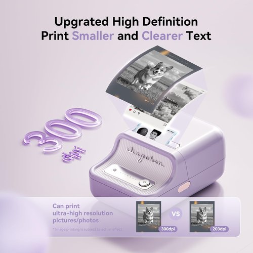 NIIMBOT B21 Pro Sticker Printer, 300DPI, Fun APP, Portable Inkless Label Printer, Bluetooth Sticker Maker for DIY Crafts, Notes, Scrapbook, Photo, Custom Labels & Gifts,Home Organization (Violet)