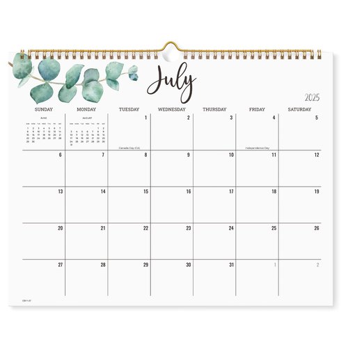 Cabbrix 2022-2023 Academic Year Monthly Wall Calendar, Jul. 2022 to Dec. 2023, Home Schooling Planner for Family and School, Wirebound, Large, 15 x 12 Inches