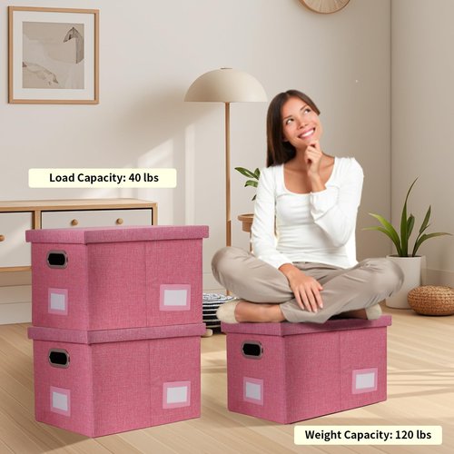 Tcbelosion Portable File Organizer Box with Lid, Filing Box with Handle, Multi-Label Slots, Perfect for Office/Home/Decor (Pink)