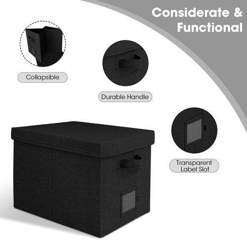 Onylin File Organizer Box with Lid, Document Storage Organizer for Letter/Legal File Folder - 15 x 12.6 x 11 inch (Black, 1 Pack)