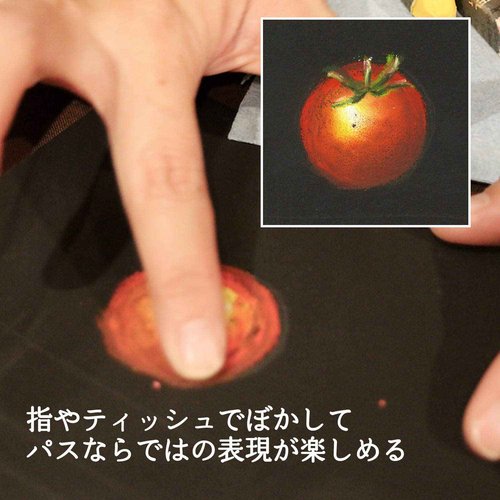 49 Pentel color expert for path (white 2 bottles) PTA-50D (japan import)