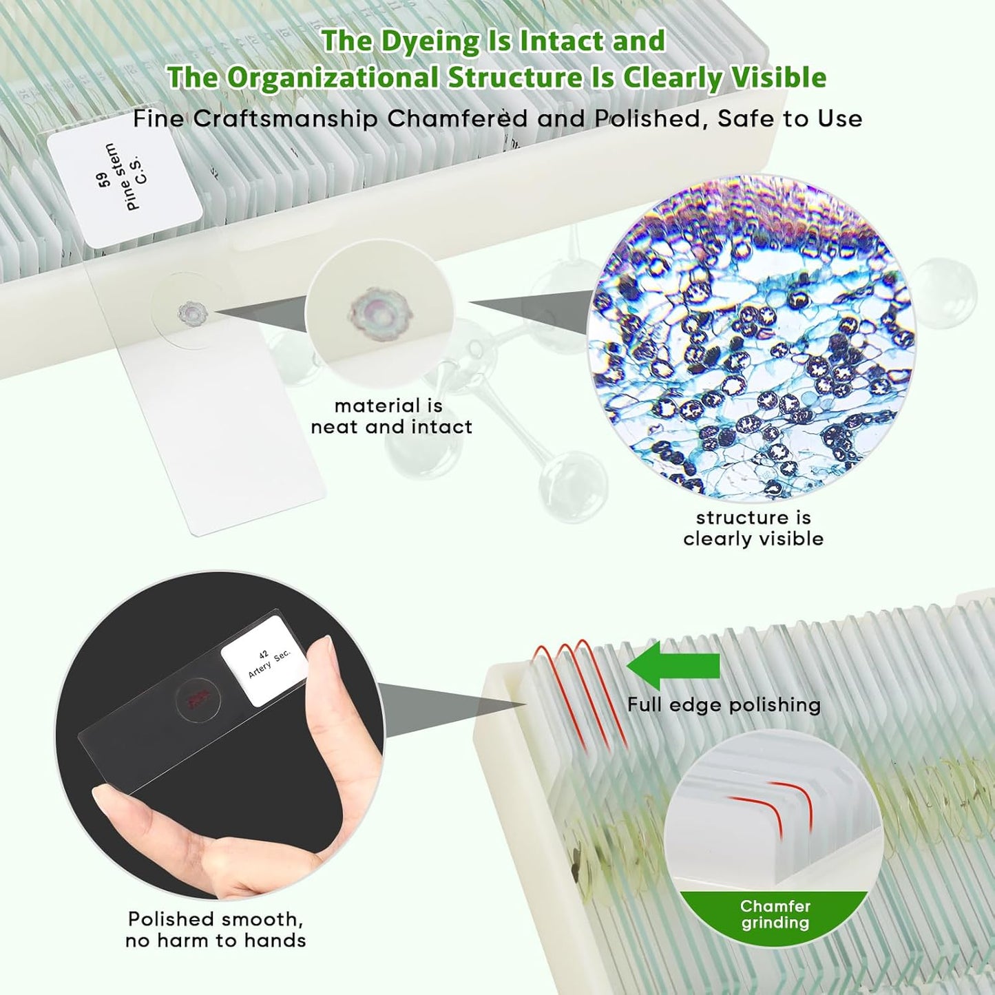 Skiennix Prepared Microscope Slides - 60 Glass Slides with Specimens for Kids' Science Classes