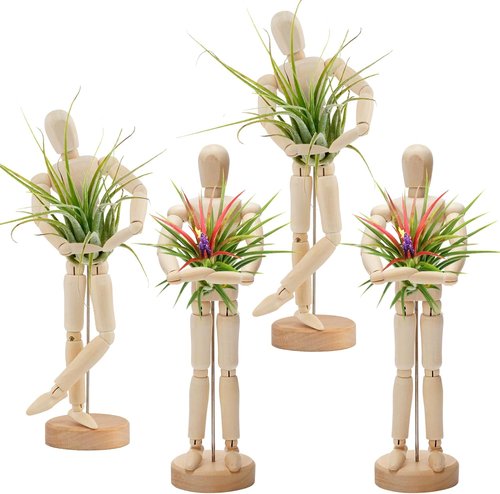 ANPHSIN Wooden Air Plant Holder - Unique 8.6'' Jointed Mannequin Stand for Tillandsia Display | Home Office Decor