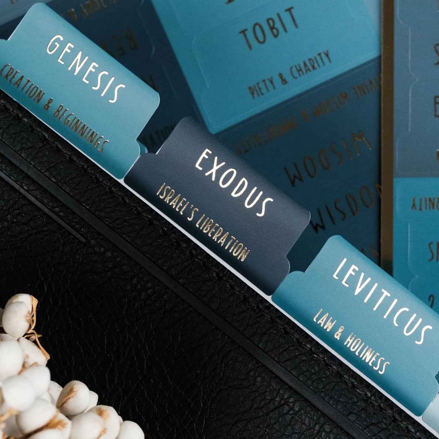 UPAFEXXI Bible Tabs - Laminated with Gold Foil Embossed Lettering | Easy-to-Read Large Print Stickers for 80 Chapters