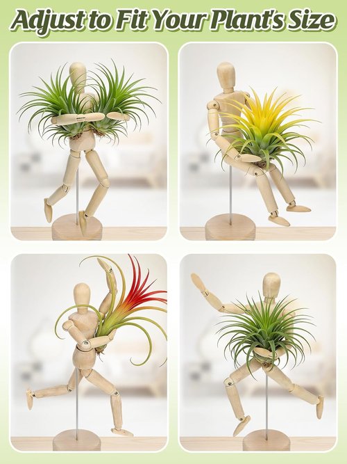 ANPHSIN Wooden Air Plant Holder - Unique 8.6'' Jointed Mannequin Stand for Tillandsia Display | Home Office Decor