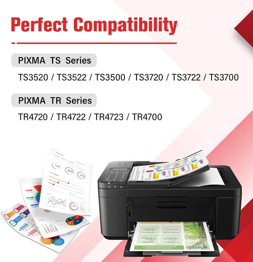 Canon 275XL & 276XL Ink Cartridges - High-Quality Replacement Combo Pack | 2 Black Cartridges for PIXMA TR4700 Series