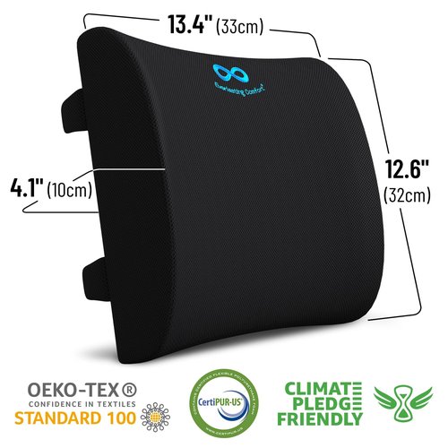 Everlasting Comfort Lumbar Support Cushion for Car Seat - Memory Foam Back Cover for Car - Lumbar Support Promotes Better Posture, Back Pain Relief - Ideal for Driving