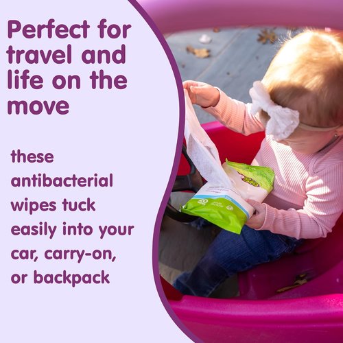 Boogie Antibacterial Hand Wipes - Alcohol-Free & Hypoallergenic Aloe, 100 Total Wipes (5 Packs of 20)