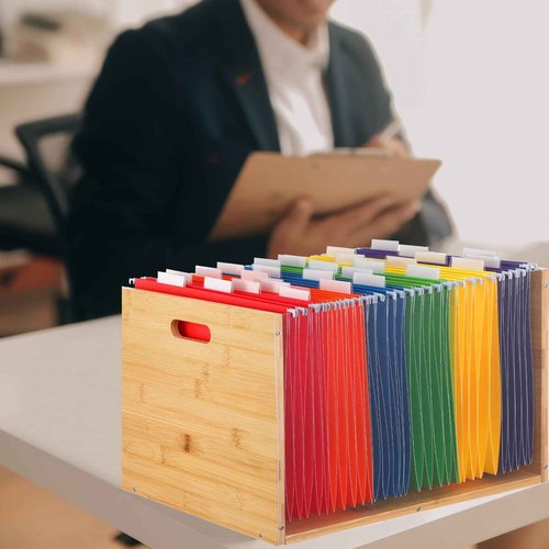 Chiisong Clear Acrylic File Box Hanging File Organizer with 30 Pcs Hanging File Folders Bamboo Hanging Folder Storage Filing Crate Bin Holder with Handle for Home Office Desk Letter Size