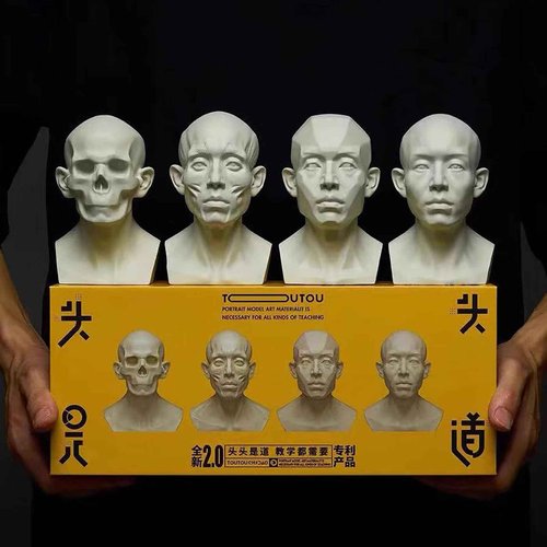Generic 4 Pack Head Model for Drawing Reference, Artists Manikin, Skull Muscle Plane Heads Set, Color White, 13.2cm