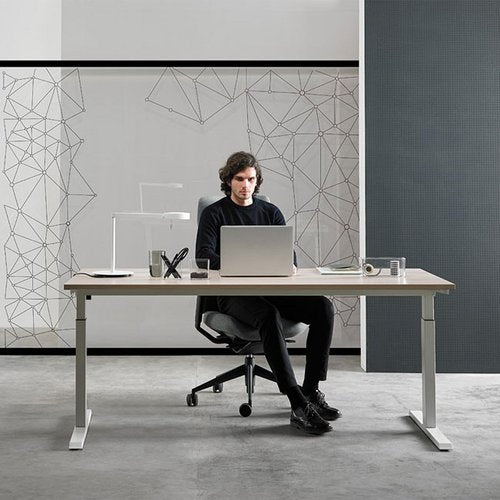 AbleHope Electric Stand up Desk Frame Height Adjustable Table Legs for Home and Office Sit Stand Frame Up to 45.28" Ergonomic Standing Desk Base, White Frame Only