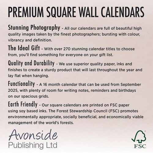 Porsche Calendar 2026 | 12 Month Wall Calendar | Avonside Publishing | Plastic Free Packaging