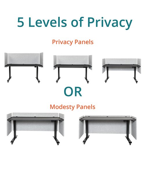 Stand Up Desk Store ReFocus Clamp-on Acoustic Desk Divider Privacy Panel That Reduces Noise and Visual Distractions (Ash Gray, 59" x 23.6")