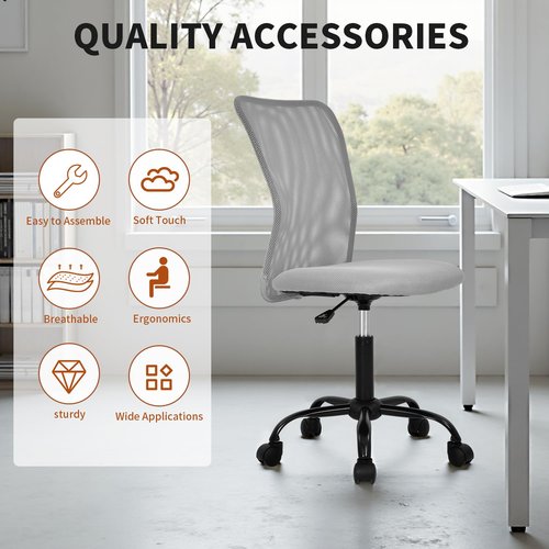 Ruesleag Home Office Chair Ergonomic Mid-Back Mesh Desk Chair Computer Armless Executive Task Chair Lumbar Support Armrests Swivel Rolling PC Chairs Small Meeting for Adults,Grey