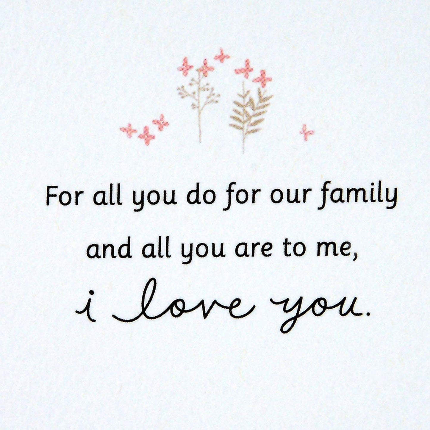 Hallmark Signature Mothers Day Card for Wife (For All You Do for Our Family)