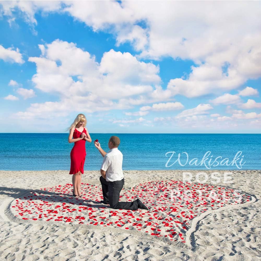 WAKISAKI Artificial Silk Rose Petals - Romantic Wedding Decor | 1,000 PCS Dark Red for Proposals & Anniversaries