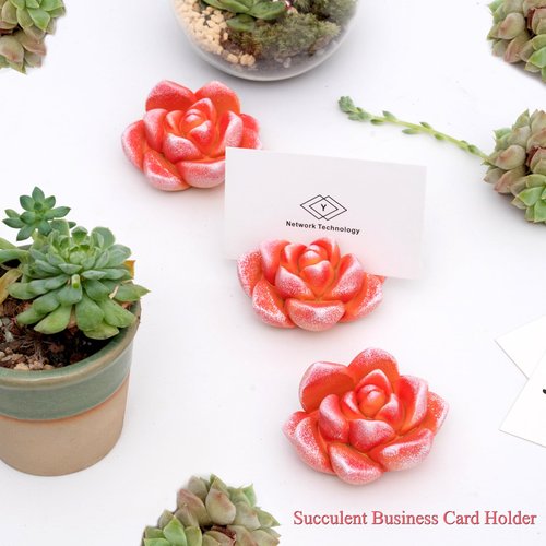 wowhalolo Resin Succulent Business Card Holder Set of 3 - Orange - Cute Desk Organizer and Display Stand for Office, Store - Vertical Name Card Holders - Unique Gift and Decor