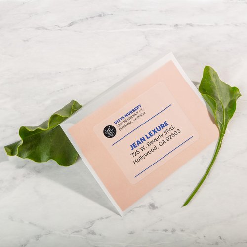 Avery Printable Shipping Labels with Sure Feed, 3-1/3" x 4", Matte Clear, 300 Blank Mailing Labels (5664)