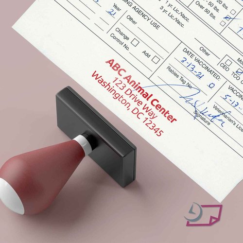 NextDayLabels - Veterinarian, 3-Part Rabies Vaccination Certificates for Cats & Dogs (100 Sets per Package)