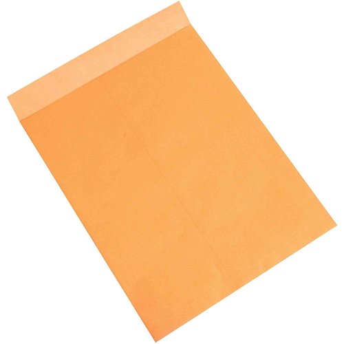 Aviditi Jumbo Envelopes, 18" x 23", Kraft, Large Envelopes For Protecting, Mailing and Shipping Oversized Printed Items, Case of 100