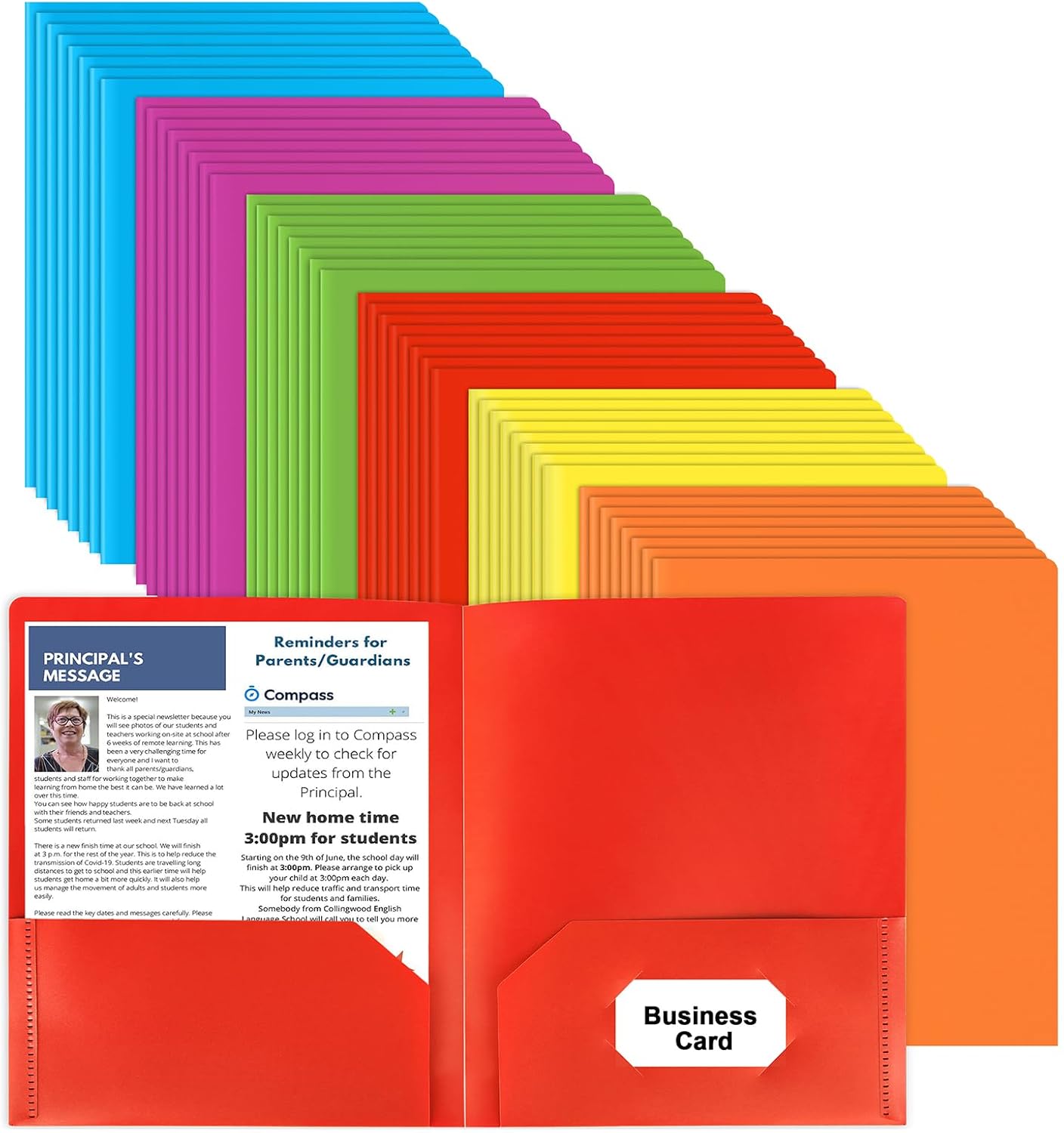 Skiennix Plastic Folders - Heavy Duty Two Pocket Design | 48 Pcs in 6 Vibrant Colors for Office & School