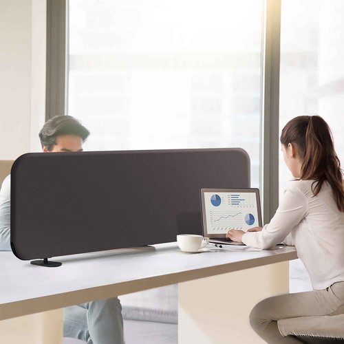 DECOLAB Desk Divider, Portable Desktop Privacy Panels Partition for Study, Home Office, Workplace, Students, Free Standing, Anti-Scratch, 48"x18", Iron