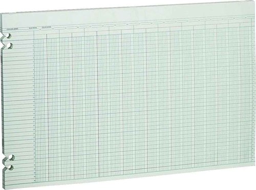 Wilson Jones G5030 Accounting Sheets, 30 Columns, 11 x 17, Green (Pack of 100 Loose Sheets)