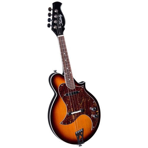 Kentucky 4 String Mandolin, Right (KM-300E)