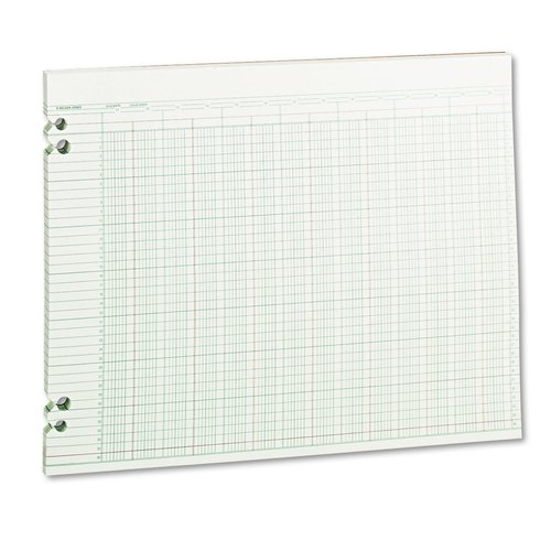 Wilson Jones WLJG3024 Green Columnar Ruled Ledger Paper, Double Page Format, 24 Columns and 36 Lines per Page, 11 x 14 Inches, 100 Sheets per Pack (WG30-24A)