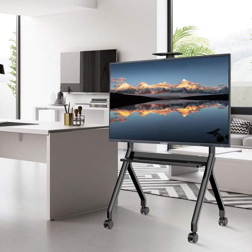 RAIZEA Mobile Smart Board Stand for Interactive Whiteboard 47"-65", Lockable Wheels, Holds up to 176lbs, for Office Classroom Home(Model: FD570)