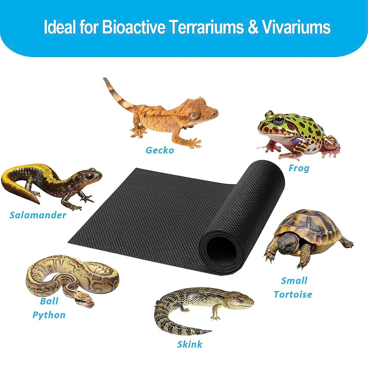 Duedusto 2Pcs 36"x18"Reptile Terrarium Substrate Barriers, Bioactive Terrarium Supplies, Reptile Tank Accessories for Geckos, Snakes, Lizards, Frogs, Tarantula, Newts, Salamanders, Skinks