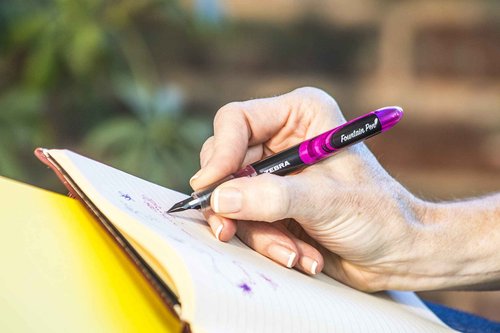 Zebra Pen Fountain Pen Set, Fine Point 0.6mm, Assorted Colors Non-Toxic Ink, Stainless Steel Nib, Disposable (48317) (Pack of 1, 24 Count Total)