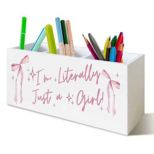 UNCDLV Pink Pen Holder for Girly Room Desk Organizer, I'm Literally Just a Girl Pink Coquette Bow Pencil Holder for Girly Room Decor,Preppy Organizer for Office Desk
