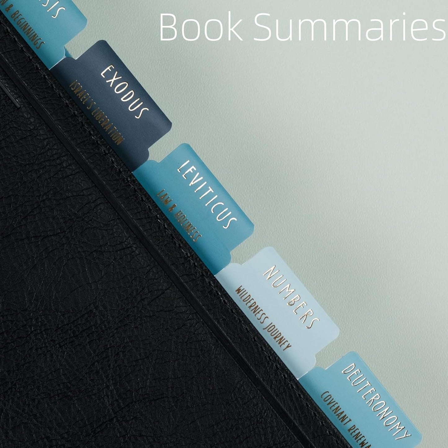 UPAFEXXI Bible Tabs - Laminated with Gold Foil Embossed Lettering | Easy-to-Read Large Print Stickers for 80 Chapters