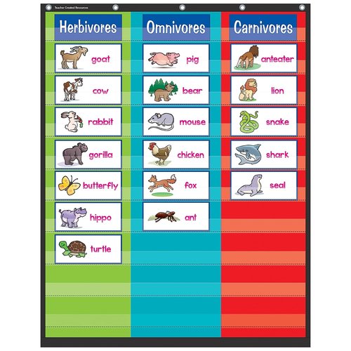 Teacher Created Resources 3 Column Pocket Chart 34" x 44" (TCR20324)