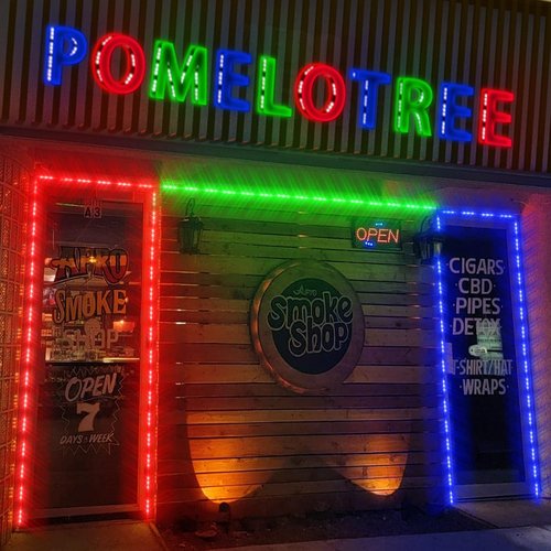 LED Window Lights - Waterproof 12V RGB Decorative Modules for Business Store Advertising | 100FT (10 Packs)