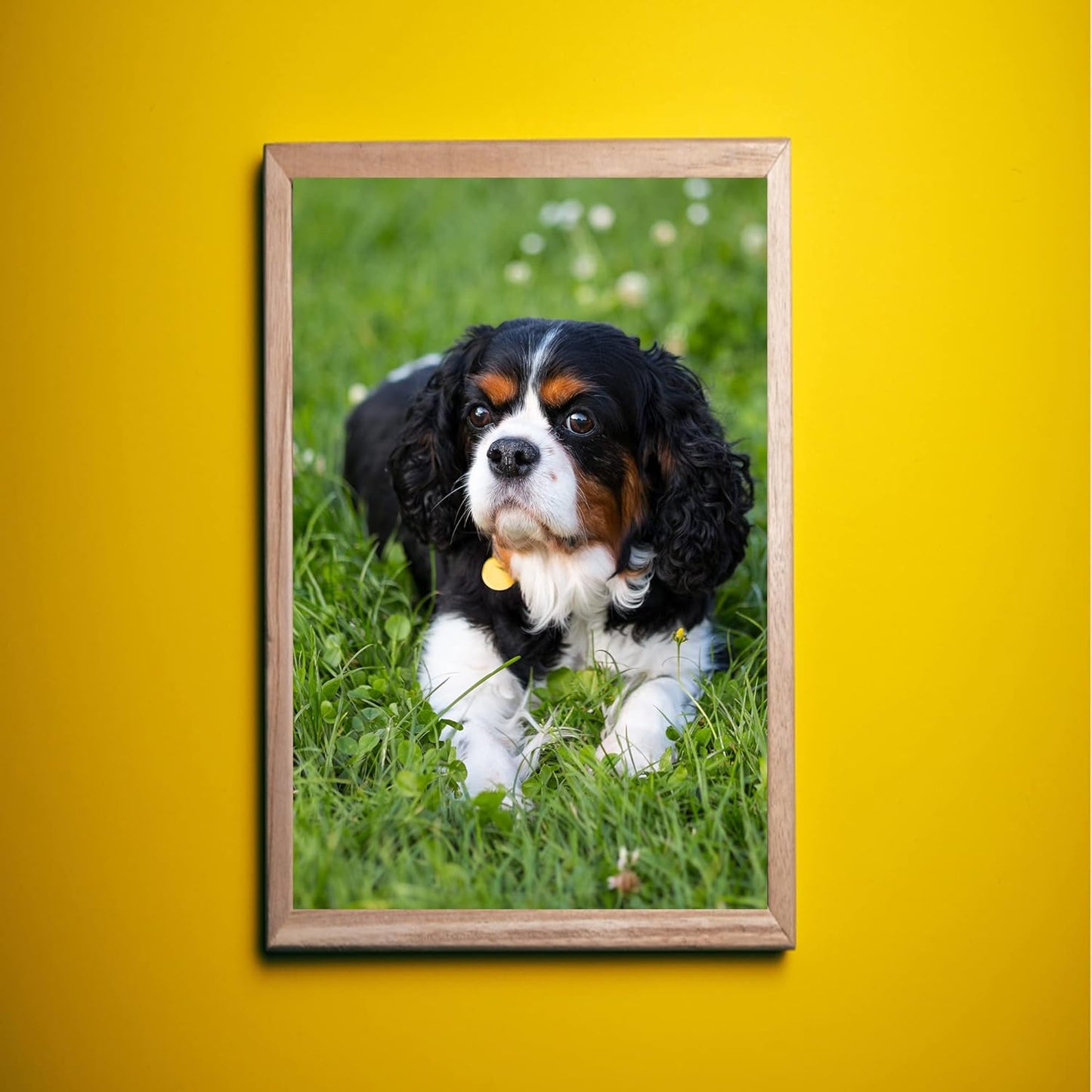 Skiennix Aluminum Photo Blanks - 8 Pcs 4x6 Inch Metal Sublimation Blanks | 0.4mm Thickness for Custom Printing