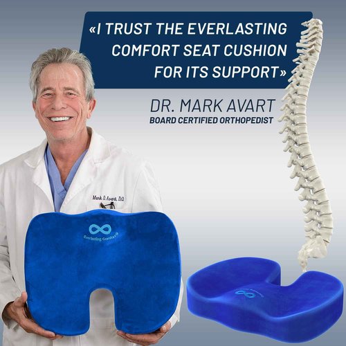 Everlasting Comfort Doctor Recommended Memory Foam Seat Cushion for Office Chairs & Car - Ergonomic Office Desk Accessories - Cushions for Tailbone Pain Relief, Sciatica & Back Support Pillow